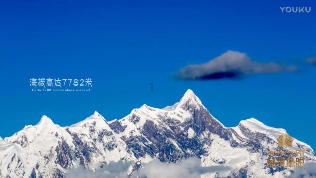 召唤神龙万宁版祖龙