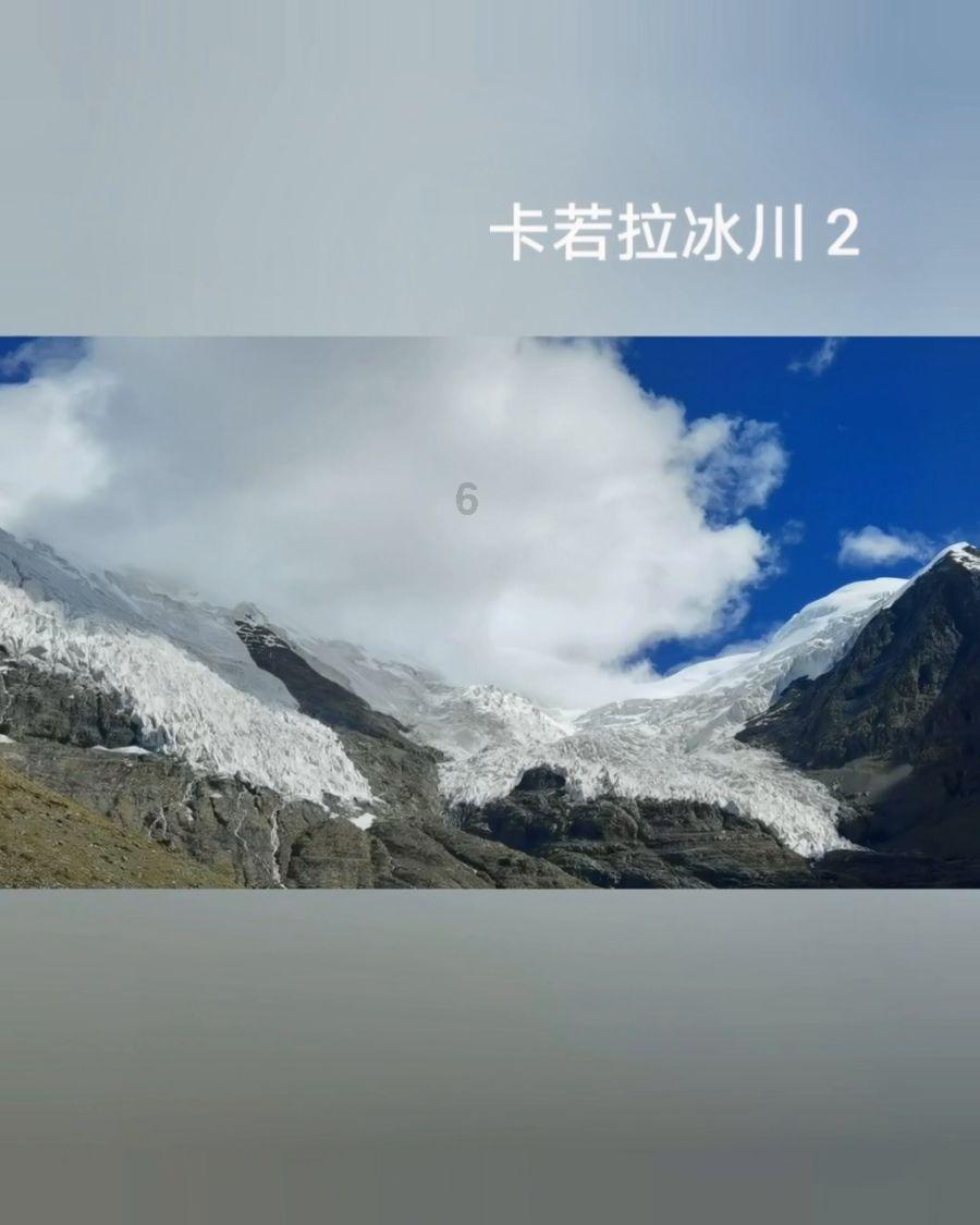 虫虫助手下载