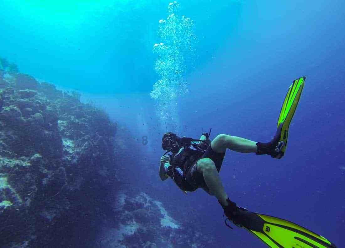 她这是公主病吗?-分享美食、旅行、生活点滴的红迪网