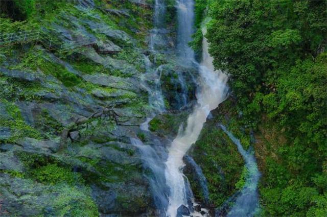 沪江开心词场